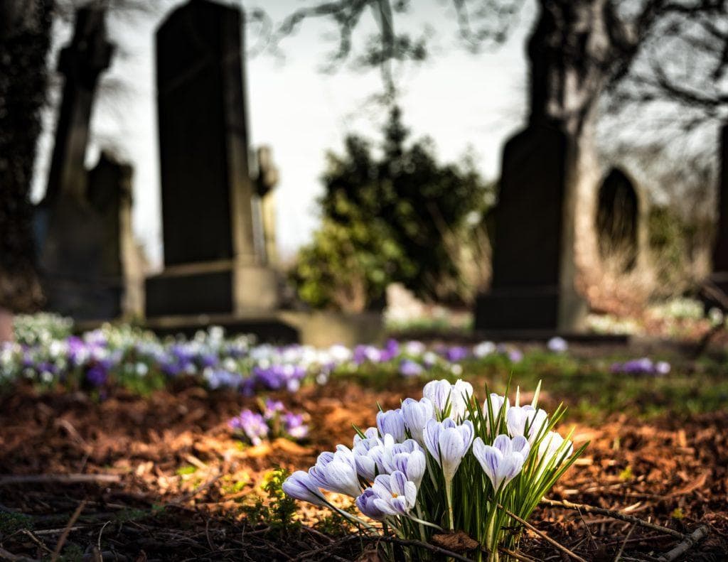 green burials offer environmentally friendly alternatives to traditional burials